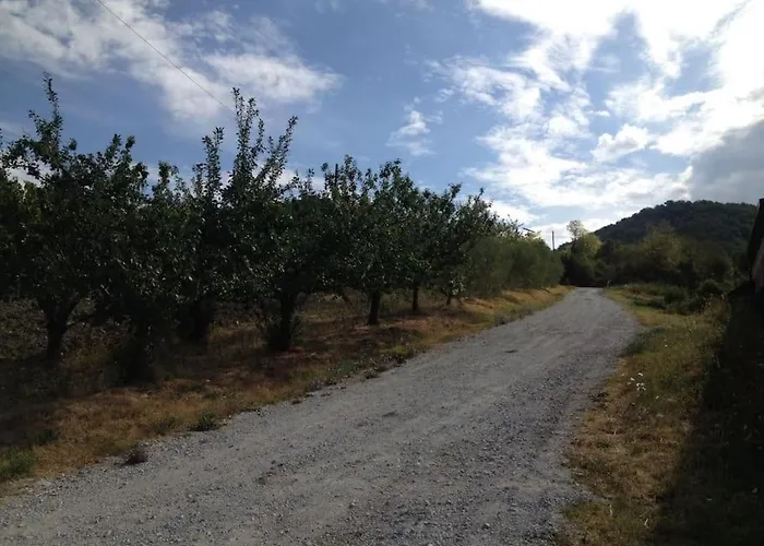 Casa Vitiolo - Parte Sinistra 公寓 Montemaggio